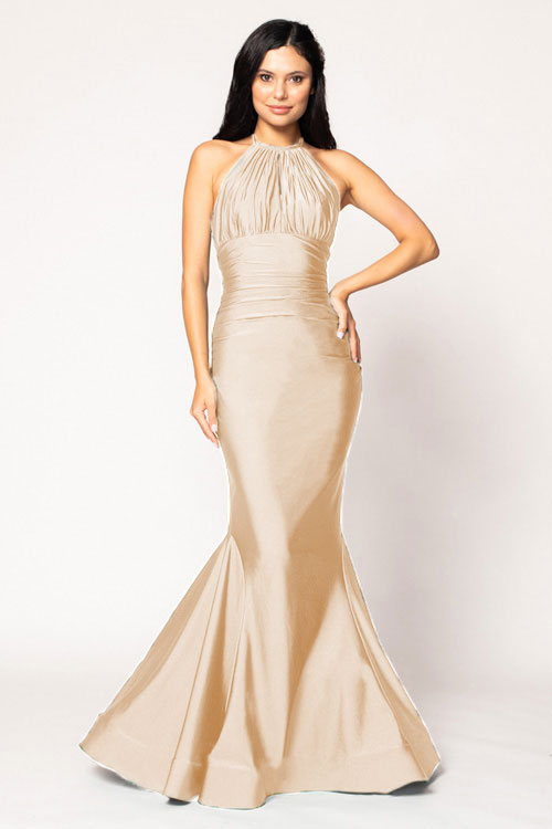 Champagne color gown outlet for principal sponsors